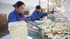 经济大省挑大梁·高手正在“平易近”间｜久久为